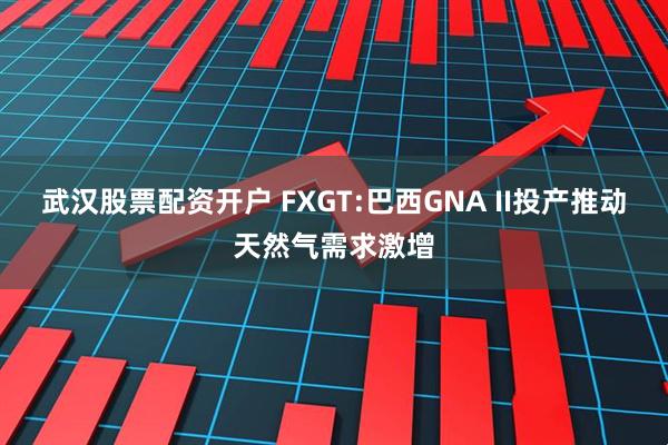 武汉股票配资开户 FXGT:巴西GNA II投产推动天然气需求激增