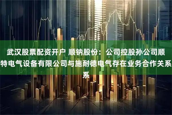 武汉股票配资开户 顺钠股份：公司控股孙公司顺特电气设备有限公司与施耐德电气存在业务合作关系